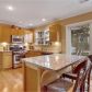 1020 Crabapple Lake Circle, Roswell, GA 30076 ID:13634692