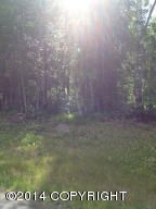 L2 Scenic Drive, Chugiak, AK 99567