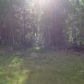 L2 Scenic Drive, Chugiak, AK 99567 ID:13020222