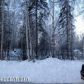 L2 Scenic Drive, Chugiak, AK 99567 ID:13020226