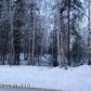 L2 Scenic Drive, Chugiak, AK 99567 ID:13020227