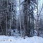 L2 Scenic Drive, Chugiak, AK 99567 ID:13020228