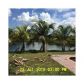 1339 SW 172ND TE, Hollywood, FL 33029 ID:13219649