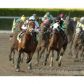 1445 ATLANTIC SHORES BL # 207, Hallandale, FL 33009 ID:12842170