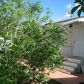 28501 SW 152 AVE, Homestead, FL 33033 ID:12881566