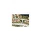106 GABLES BL, Fort Lauderdale, FL 33326 ID:13017794