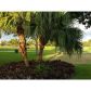8346 NW 37 ST # 8346, Fort Lauderdale, FL 33351 ID:12394474
