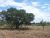 0 E FM 1323 Willow City, TX 78675