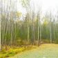 4848 W Upstream Drive, Wasilla, AK 99654 ID:13637591