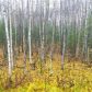 4848 W Upstream Drive, Wasilla, AK 99654 ID:13637592