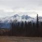 4600 E Merrill, Wasilla, AK 99654 ID:13732377