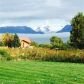 58584 Gail Avenue, Homer, AK 99603 ID:13445331
