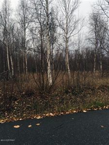 460 S Jerome Drive, Wasilla, AK 99654