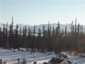 L8 B3 Caribou Homestead Loop, Homer, AK 99603