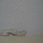 4251 NW 5 ST # 239, Fort Lauderdale, FL 33317 ID:13045827