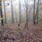 115 Burnt Mountain Cove Road, Jasper, GA 30143 ID:13663110