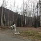 24244 Mount Eklutna Drive, Chugiak, AK 99567 ID:13748028