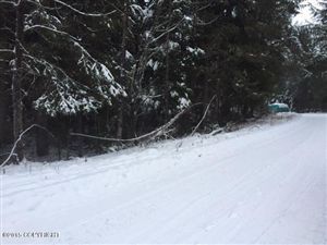 L8 B9 Carlina Drive, Girdwood, AK 99587
