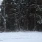 L8 B9 Carlina Drive, Girdwood, AK 99587 ID:13743901