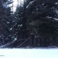 L8 B9 Carlina Drive, Girdwood, AK 99587 ID:13743902