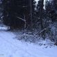 L8 B9 Carlina Drive, Girdwood, AK 99587 ID:13743903