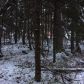 L8 B9 Carlina Drive, Girdwood, AK 99587 ID:13743904