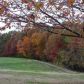 100 Willow Pond Road, Dahlonega, GA 30533 ID:13766442