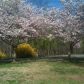 100 Willow Pond Road, Dahlonega, GA 30533 ID:13766444