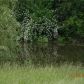 100 Willow Pond Road, Dahlonega, GA 30533 ID:13766446