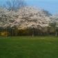 100 Willow Pond Road, Dahlonega, GA 30533 ID:13766450