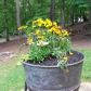 1670 Upper Salem Church Road, Jasper, GA 30143 ID:13752738