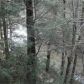 166 Red Oak Lane, Clarkesville, GA 30523 ID:13773124