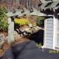 568 Deer Ridge, Jasper, GA 30143 ID:13825551
