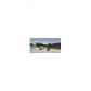 2504 Camelot Ct # 2504, Hollywood, FL 33026 ID:13832828