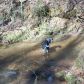 610 Fireside Ridge Drive, Dahlonega, GA 30533 ID:13760630