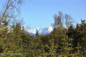 L4 Carefree Circle, Homer, AK 99603