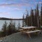 6050 W Robin Hood Lane, Wasilla, AK 99654 ID:13766603