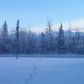 1700 S Bay View Drive, Wasilla, AK 99654 ID:13776003