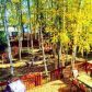16501 Nicoli Way, Eagle River, AK 99577 ID:13800632