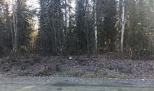 3767 S Mink Street Big Lake, AK 99652
