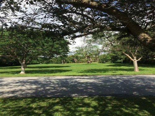 7487 SW 104 ST, Miami, FL 33156