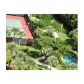 1201 S ocean drive # PH05, Hollywood, FL 33019 ID:13855908