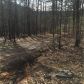 301 Fir Road Ne, Ranger, GA 30734 ID:13784019