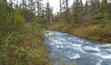 L7B2 River Circle Eagle River, AK 99577