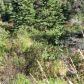 L2B1 West River Drive, Eagle River, AK 99577 ID:13885637