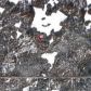 C001 No Road, Big Lake, AK 99652 ID:13802691