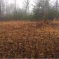 425 Stovall Road, Cleveland, GA 30528 ID:13886832