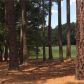 1271 Anchor Bay Drive, Greensboro, GA 30642 ID:13883332