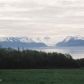 L6 B2 Buds Court, Homer, AK 99603 ID:13737717