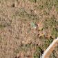 1293 Rider Road, Dawsonville, GA 30534 ID:13888785